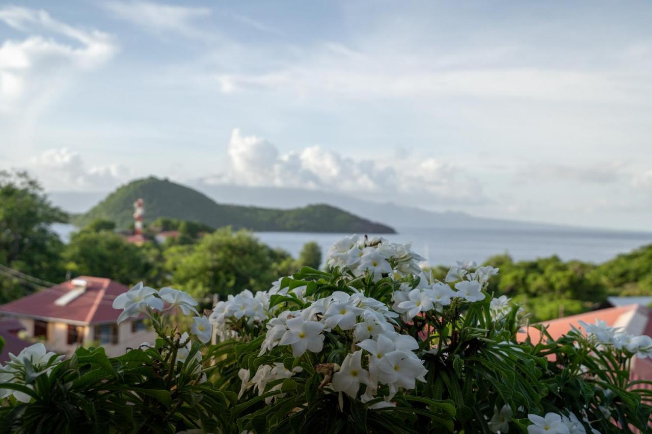 Bungalow Anse Figuier Terre-De-Haut Exterior foto
